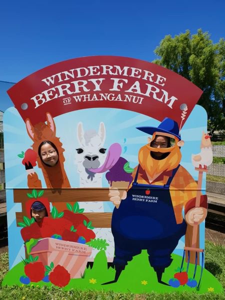 Alpaca cut out Resized2.jpg